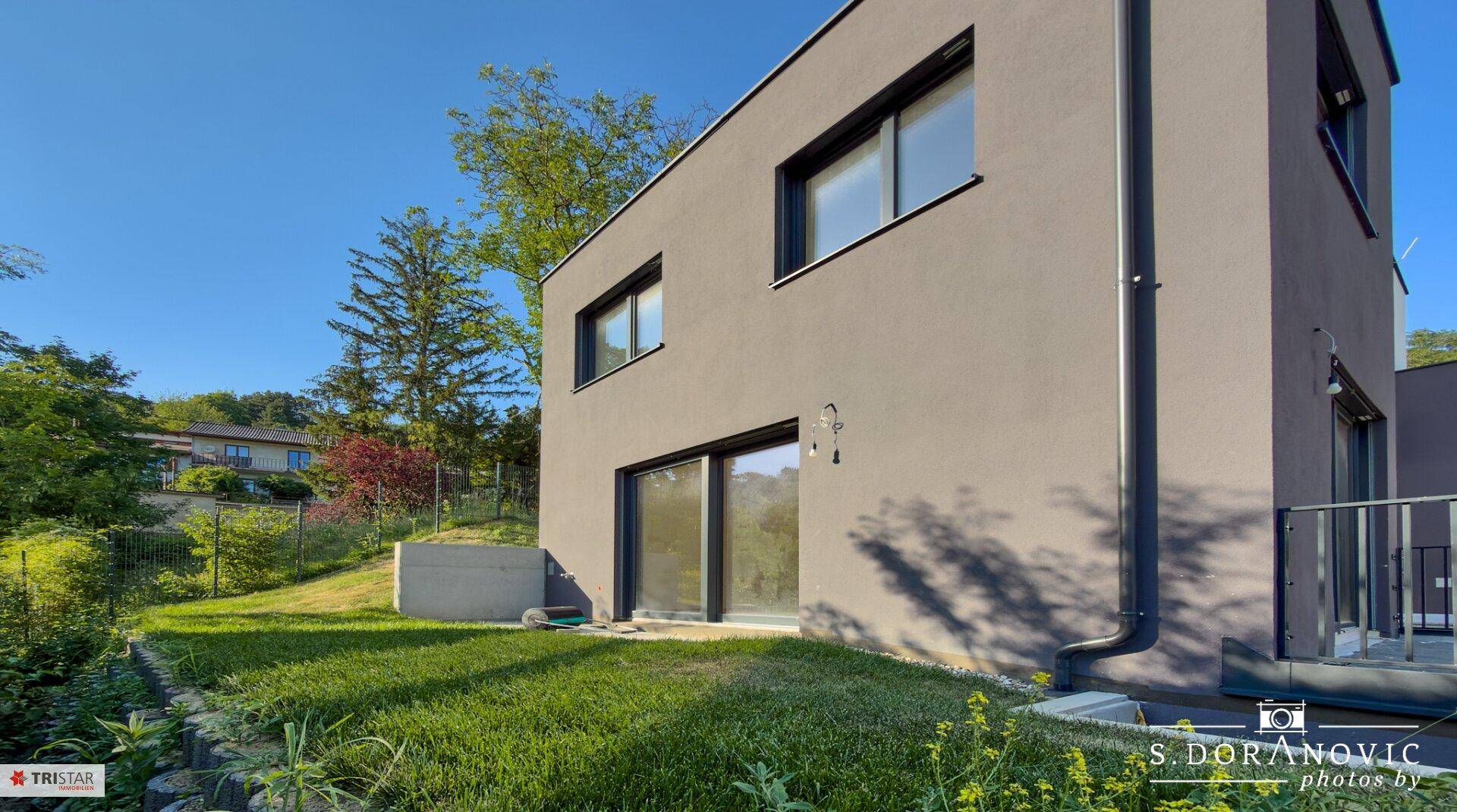 Seitlicher Gartenbereich mit Rasen, kleinen Pflanzen und Blick auf die grüne Umgebung.