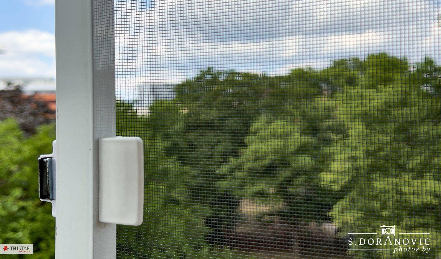 Blick ins Grüne durch ein Fenster mit Insektenschutzgitter, das eine ruhige Umgebung zeigt.
