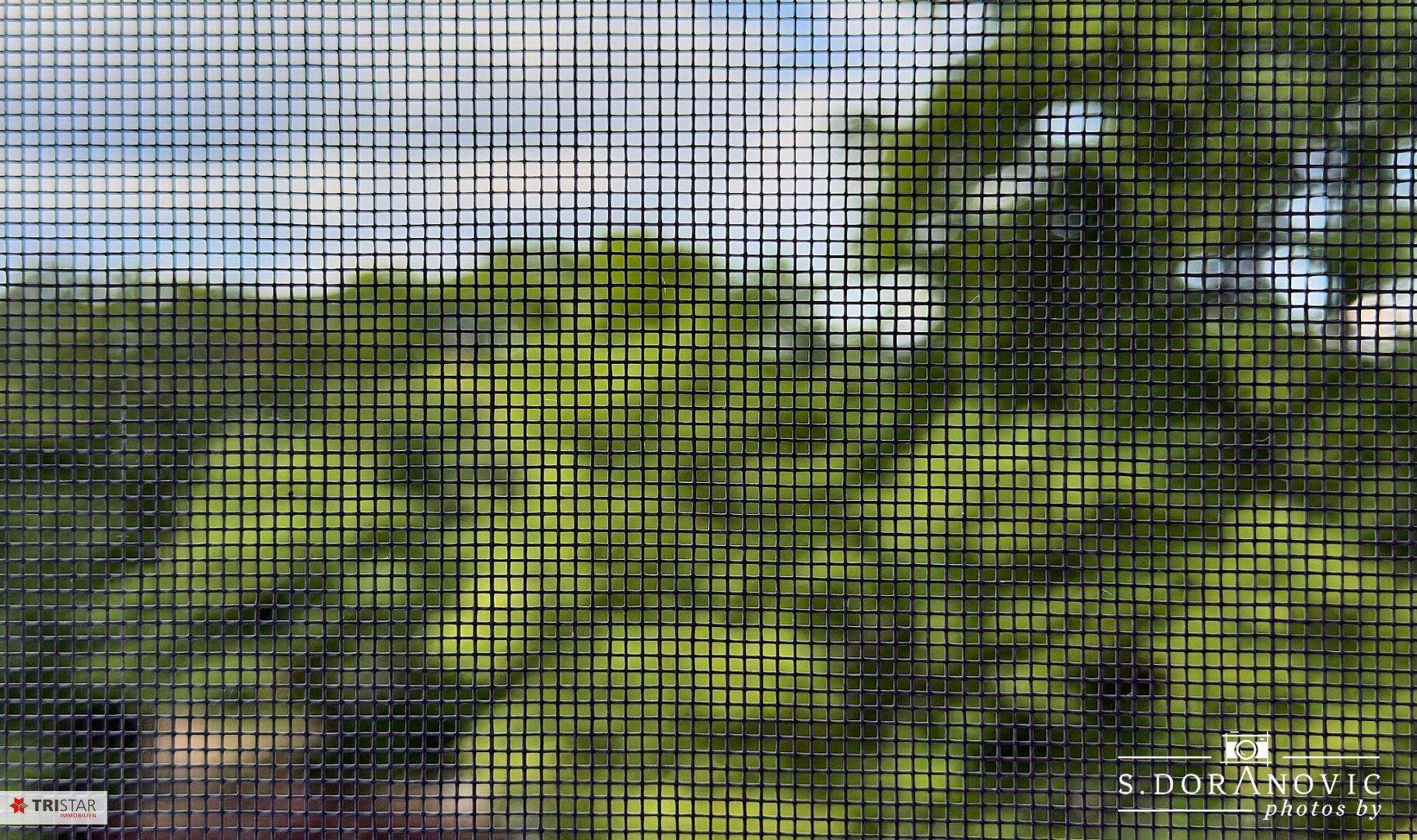 Detailaufnahme des Insektenschutzgitters mit verschwommenem Blick auf Bäume und Himmel.