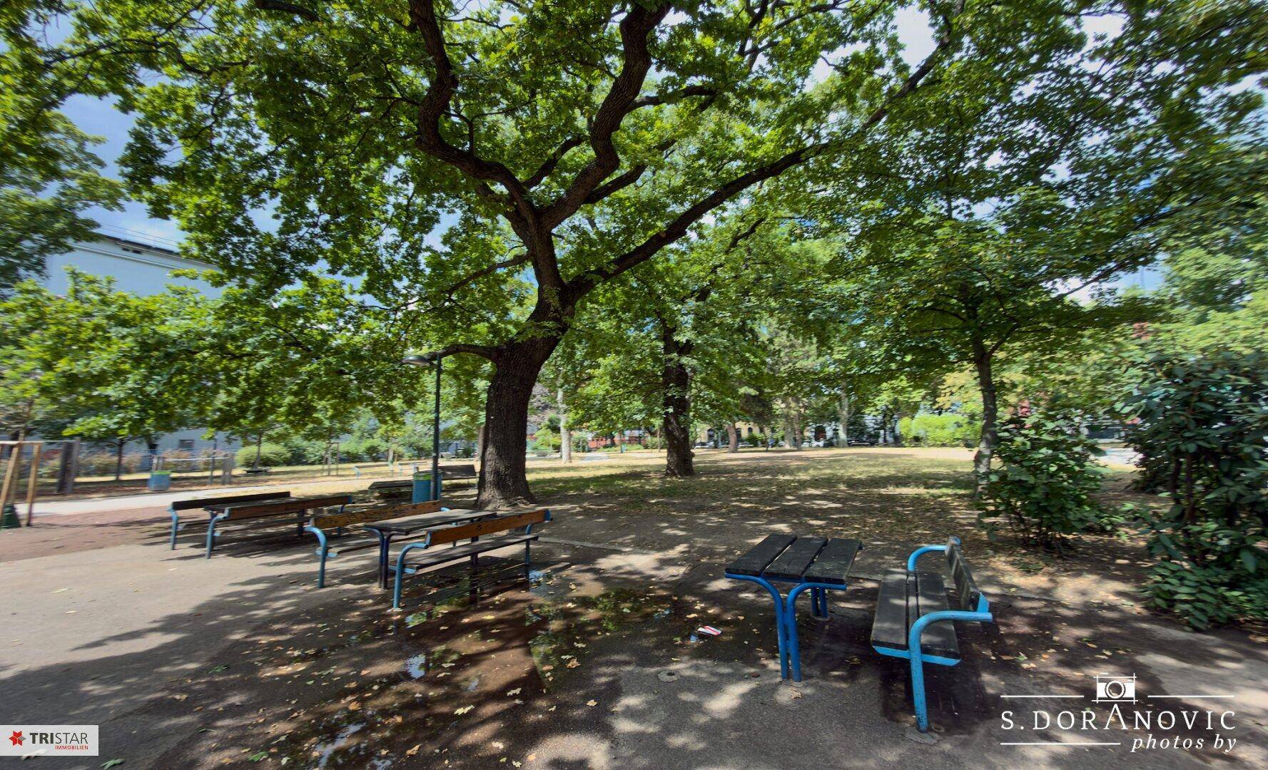 Ruhiger Parkbereich mit Sitzbänken und Tischen unter großen, schattenspendenden Bäumen.