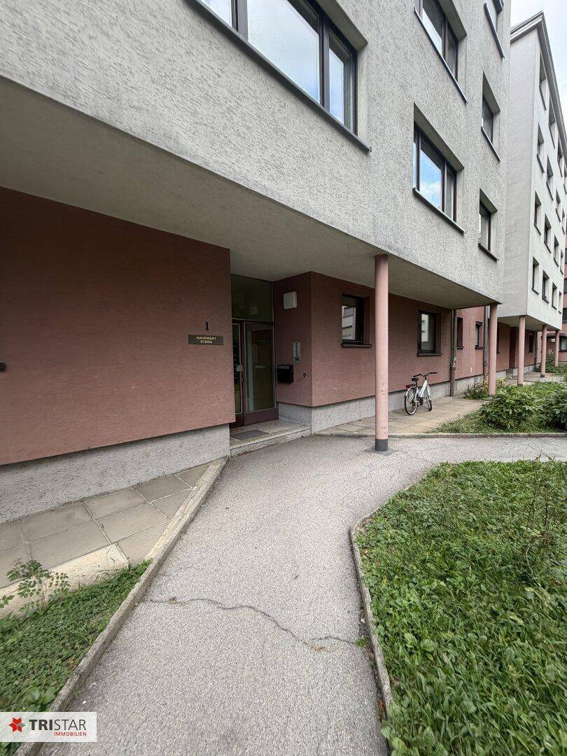 Eingangsbereich eines Mehrfamilienhauses mit modernem Design und Zugangsweg, gut gepflegt.