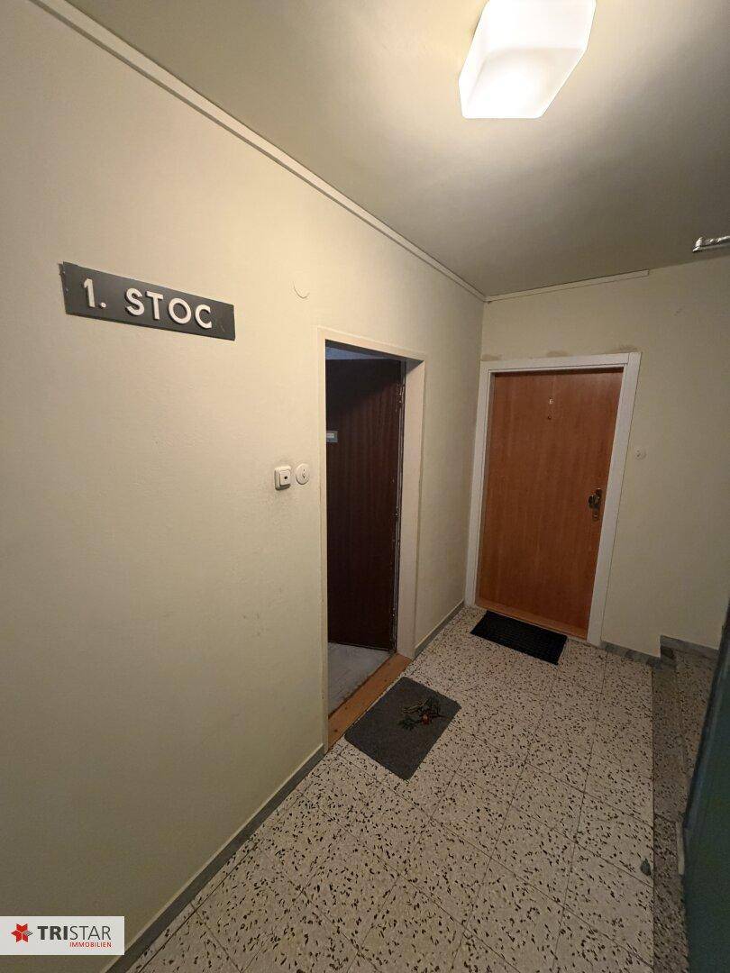 Treppenhausflur mit Zugang zu Wohnungen und Terrazzoboden, sauber und gepflegt.