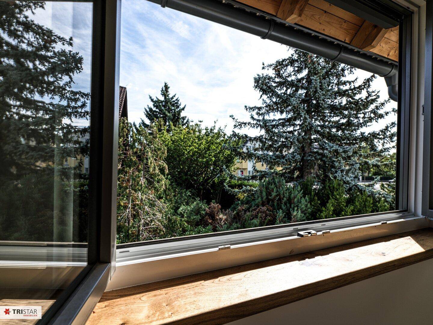Weitblick aus dem Fenster auf grüne Bäume und die umliegende Wohnbebauung.