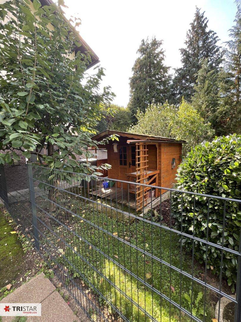 Gartenansicht mit einem kleinen Holzschuppen, umgeben von üppigem Grün und hohen Bäumen.