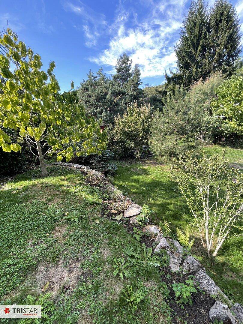 Gepflegter Garten mit Rasenflächen, verschiedenen Bäumen und einer natürlichen Steinbegrenzung.
