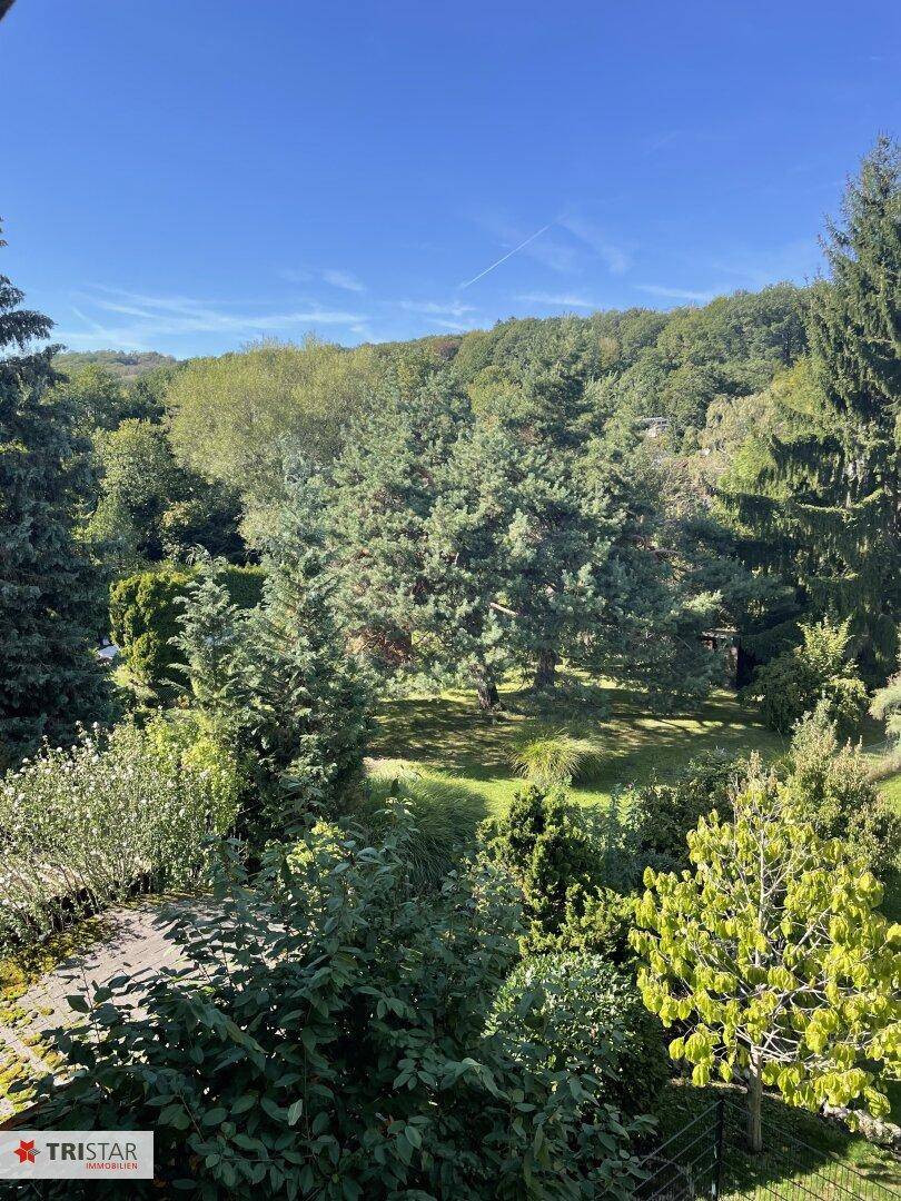 Weitläufiger Blick ins Grüne mit dicht bewaldeten Hügeln unter blauem Himmel.