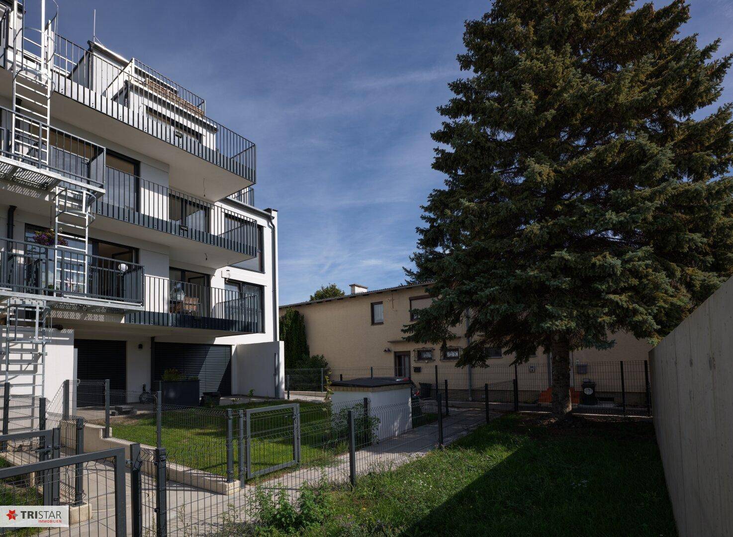 Gartenbereich der Wohnanlage mit einem großen, alten Baum und Blick auf die moderne Fassade.