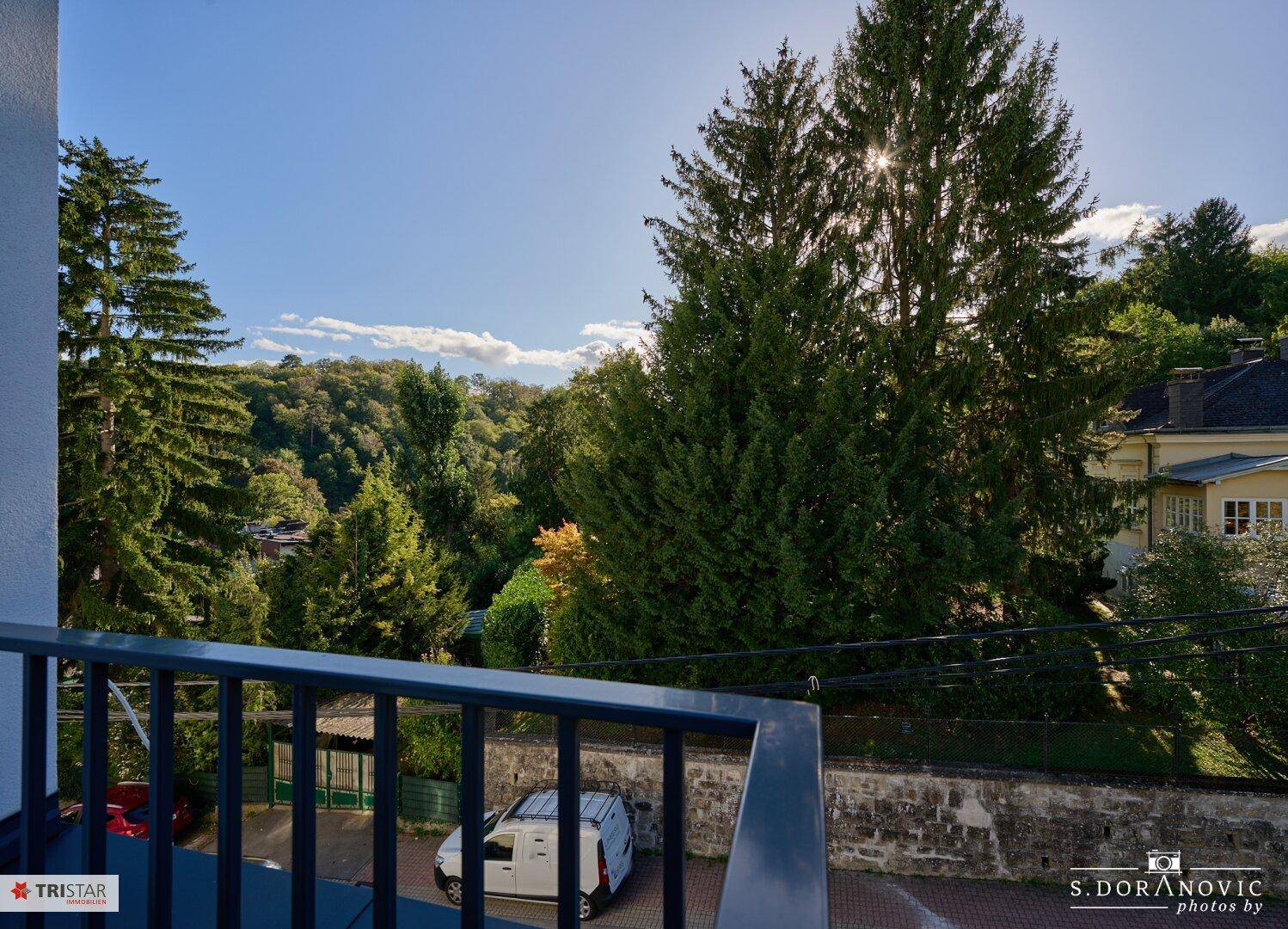 Sonniger Balkon mit weitem Blick über grüne Bäume und die Nachbarschaft.