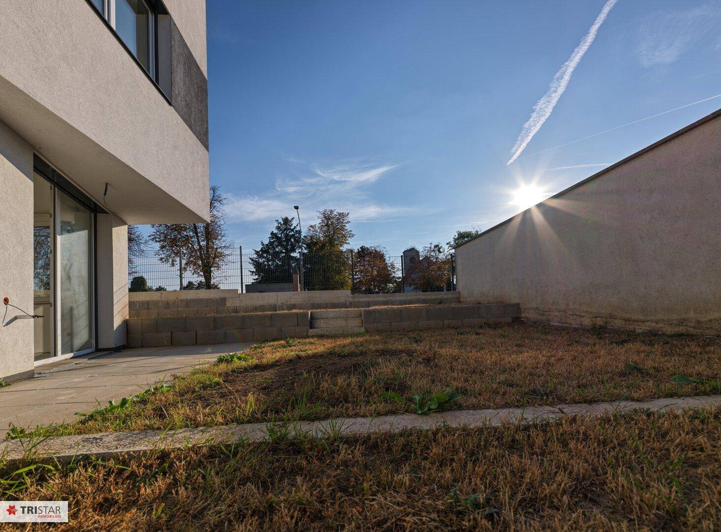 Ungestalteter Gartenbereich mit Stützmauer und viel Sonnenlicht am Nachmittag.