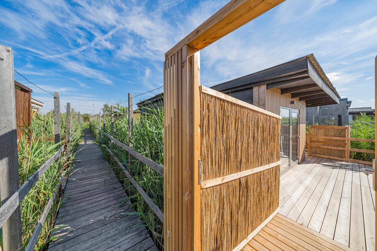 Holzsteg führt durch hohes Schilf zu einem Gebäude mit Terrasse unter blauem Himmel.