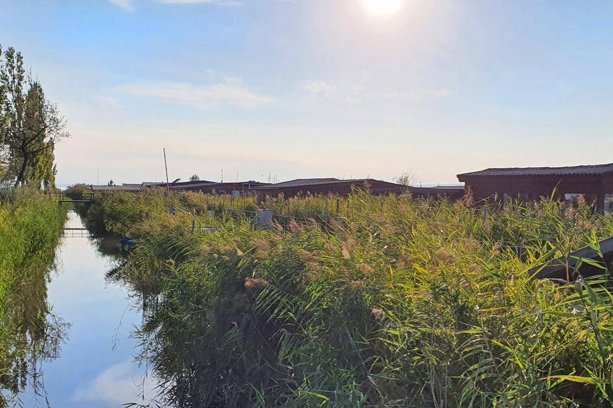 Malerische Landschaft mit einem ruhigen Kanal, umgeben von dichtem Schilf und kleinen Gebäuden in der Ferne.