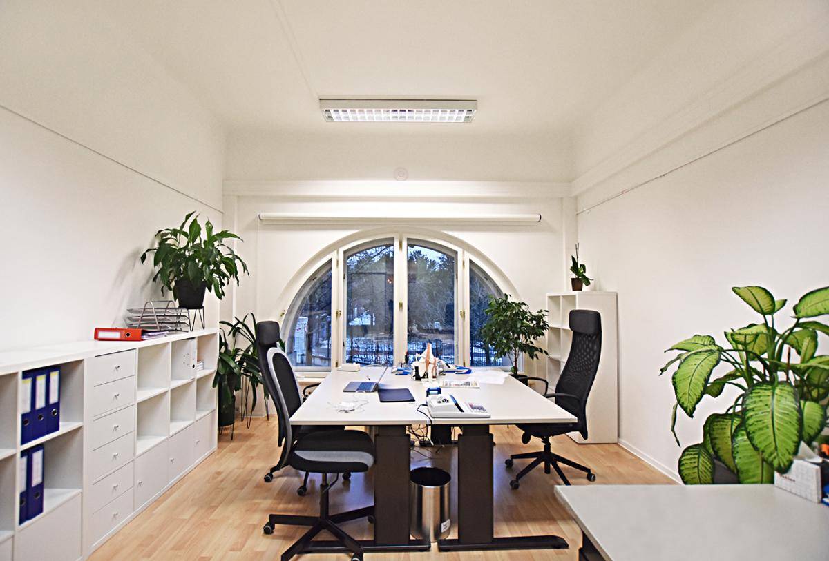 Helles Büro mit großem Rundbogenfenster, modernen Schreibtischen und vielen Grünpflanzen für eine angenehme Atmosphäre.