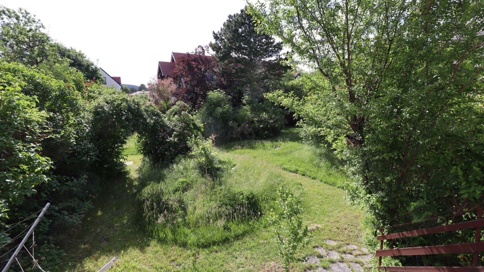 Haus – Mödling - Ansicht 2