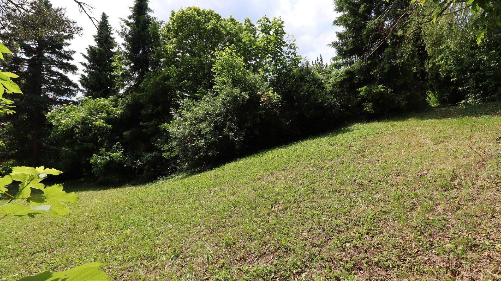 Slide 42