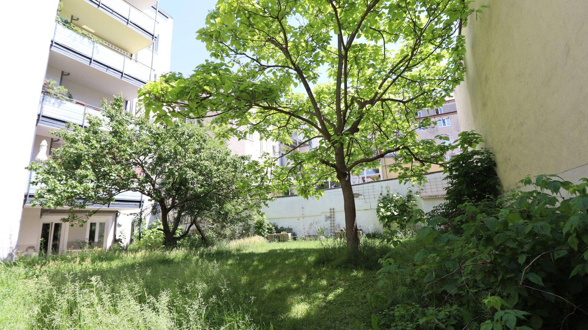 Gemeinschaftsgarten