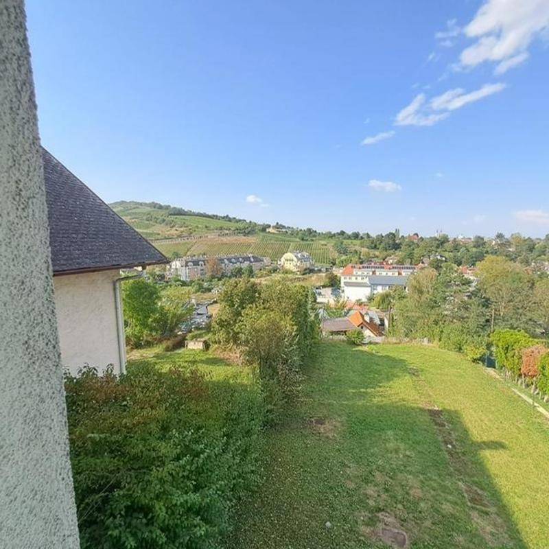 Panoramablick über die hügelige Landschaft mit Weinbergen, Wohnhäusern und viel Grün unter blauem Himmel.