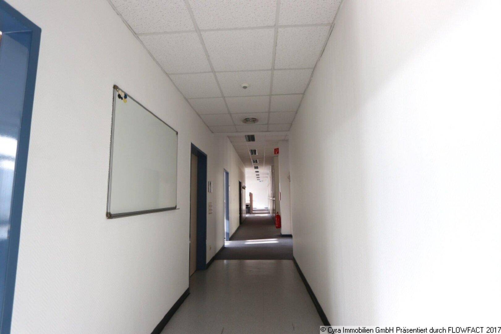 Langer, heller Flur mit weißen Wänden, abgehängter Decke und grauem Teppichboden in einem Bürogebäude.
