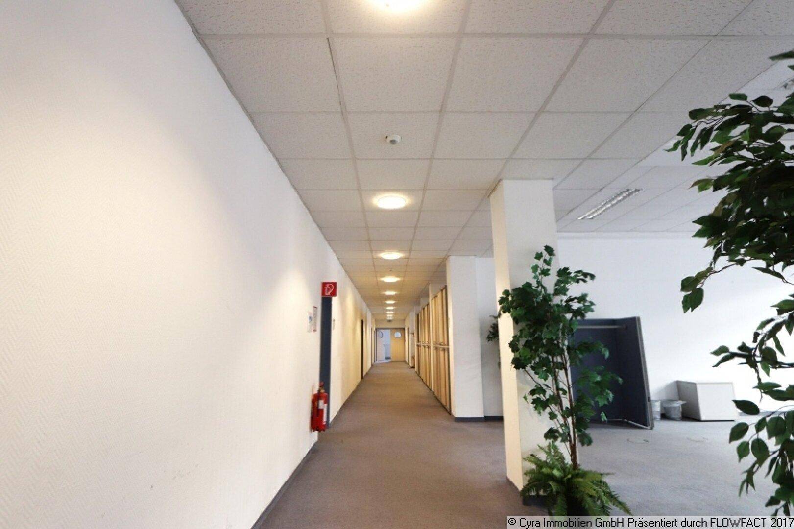 Heller Flur mit runden Deckenleuchten, weißen Wänden und einem Feuerlöscher, führt zu Büroräumen.
