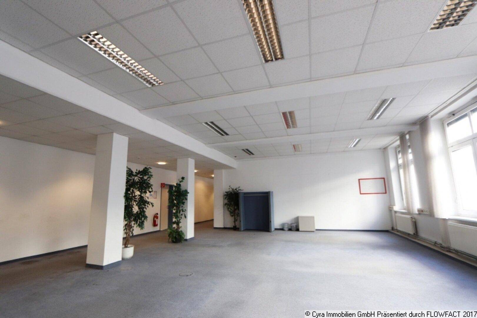 Großer, offener Raum mit Säulen, Pflanzen und vielen Fenstern, ideal für flexible Büronutzung.