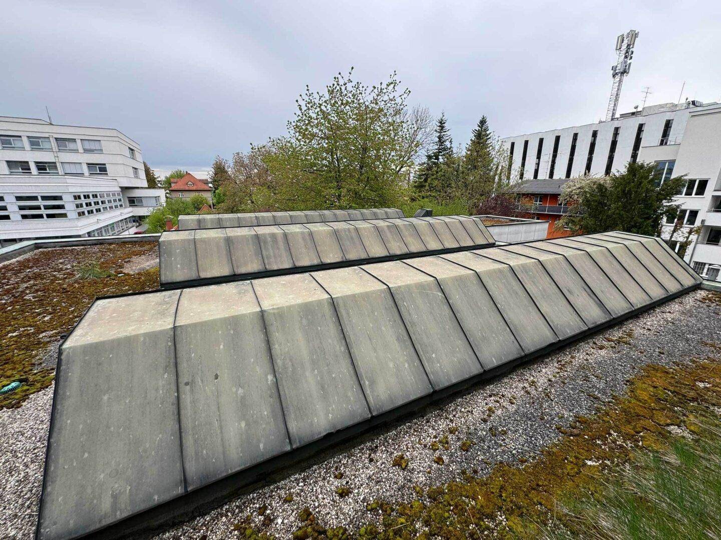 Dachfläche mit mehreren Oberlichtern und Moosbewuchs, umgeben von Bäumen und Gebäuden im Hintergrund.