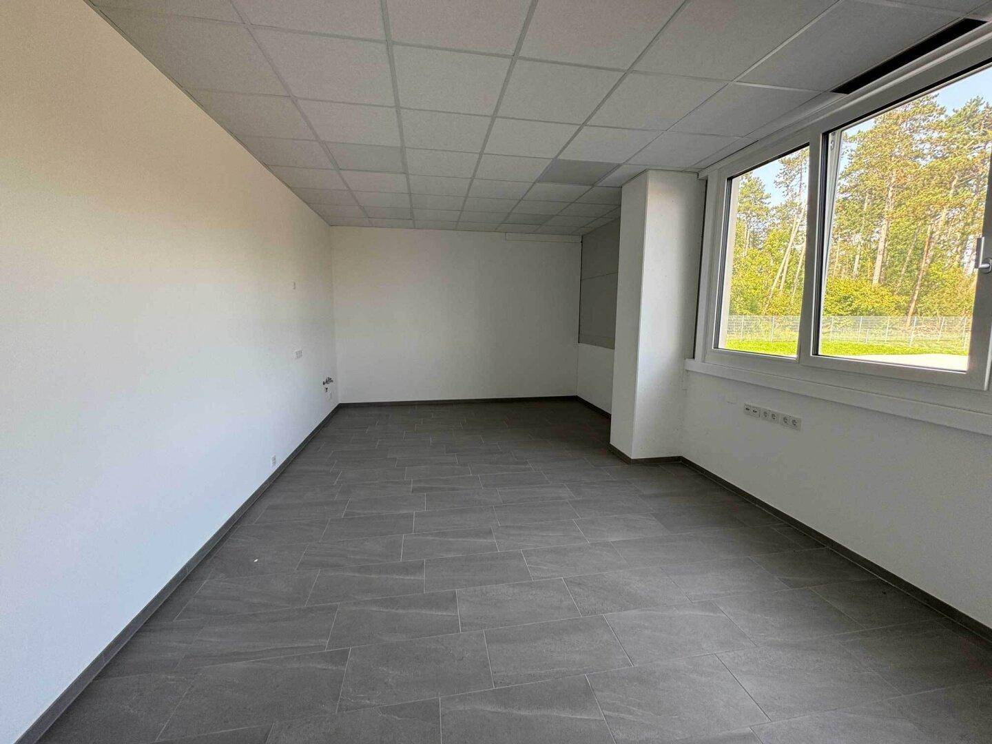 Helles Büro mit grauen Fliesen, weißen Wänden und großen Fenstern mit Blick ins Grüne.