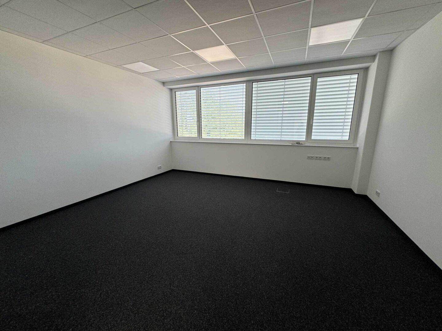 Leeres Büro mit dunklem Teppichboden, weißen Wänden und großen Fenstern mit Jalousien.
