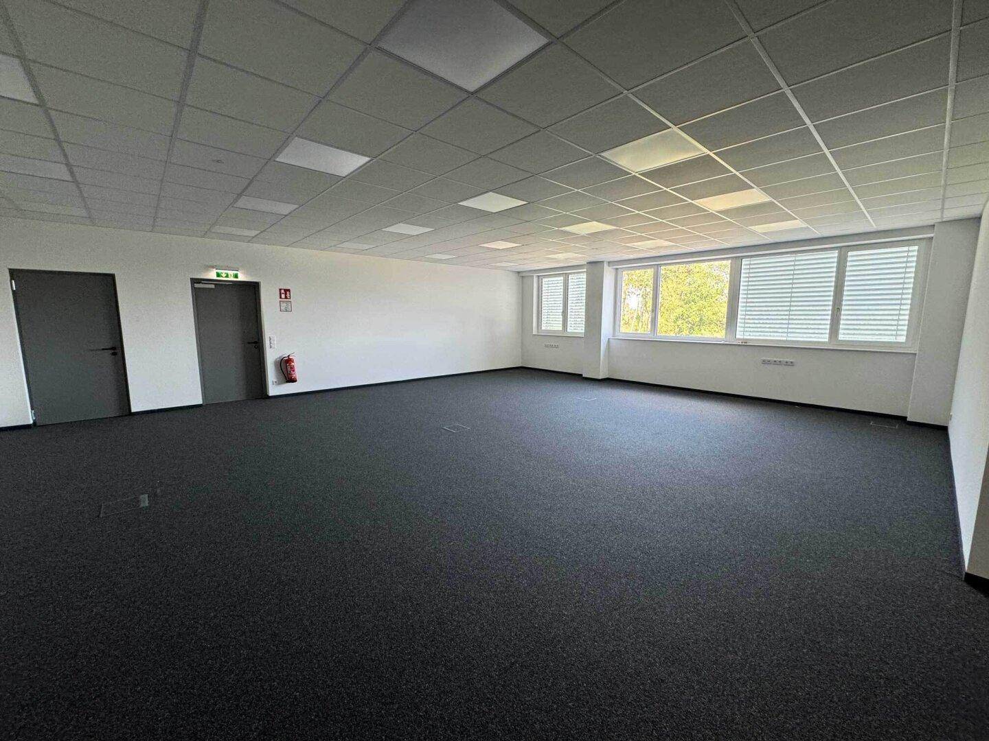 Geräumiger, leerer Büroraum mit dunklem Teppichboden, abgehängter Decke und vielen Fenstern.