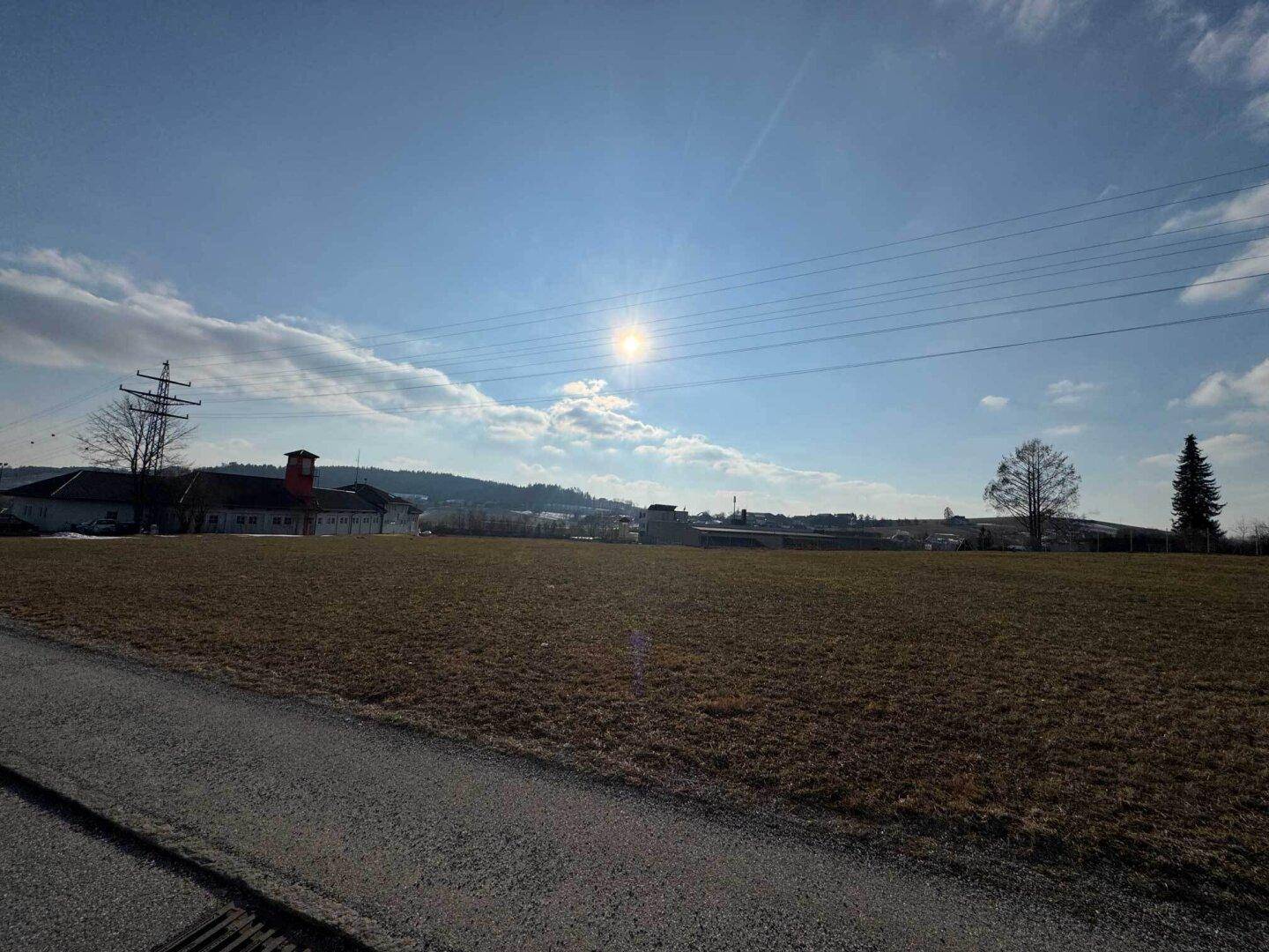 Offenes Feld an einem sonnigen Tag mit blauer Himmelskulisse, im Hintergrund sind Strommasten und Gebäude erkennbar.
