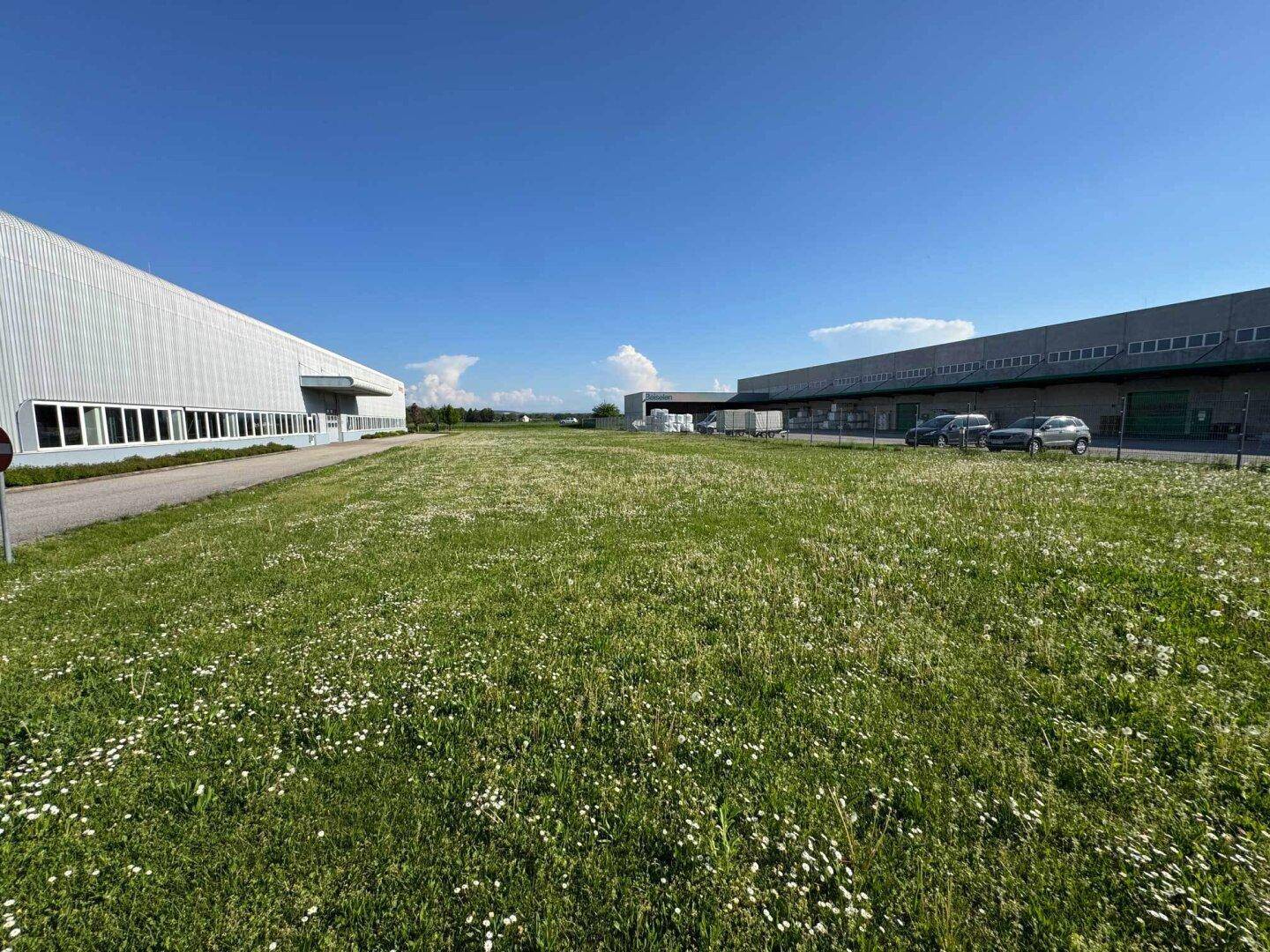 Weitläufige Grünfläche mit Gänseblümchen zwischen zwei Industriegebäuden unter blauem Himmel.