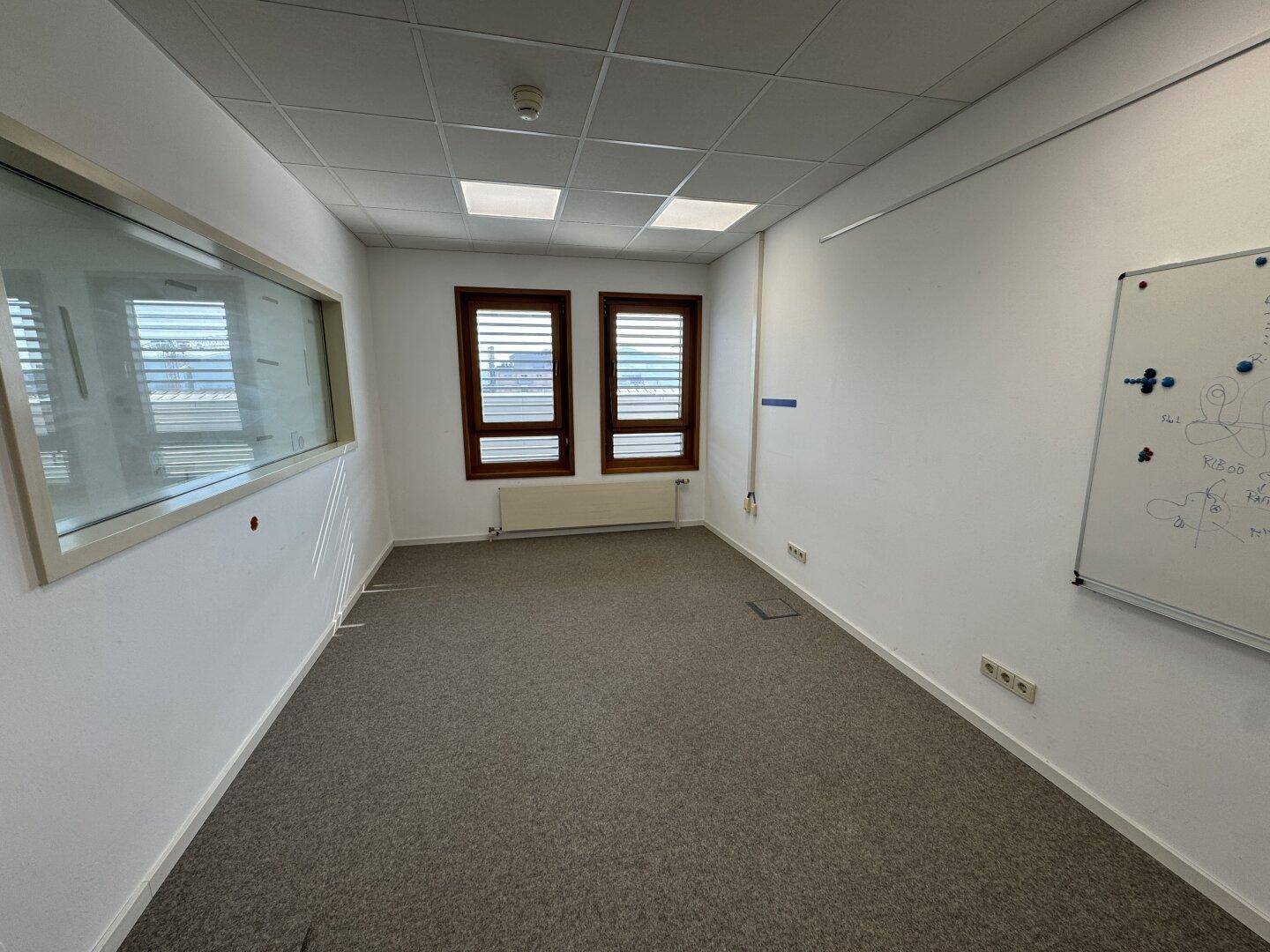 Modernes Büro mit Teppichboden, zwei Fenstern und einer großen Glaswand, ideal für kollaboratives Arbeiten.
