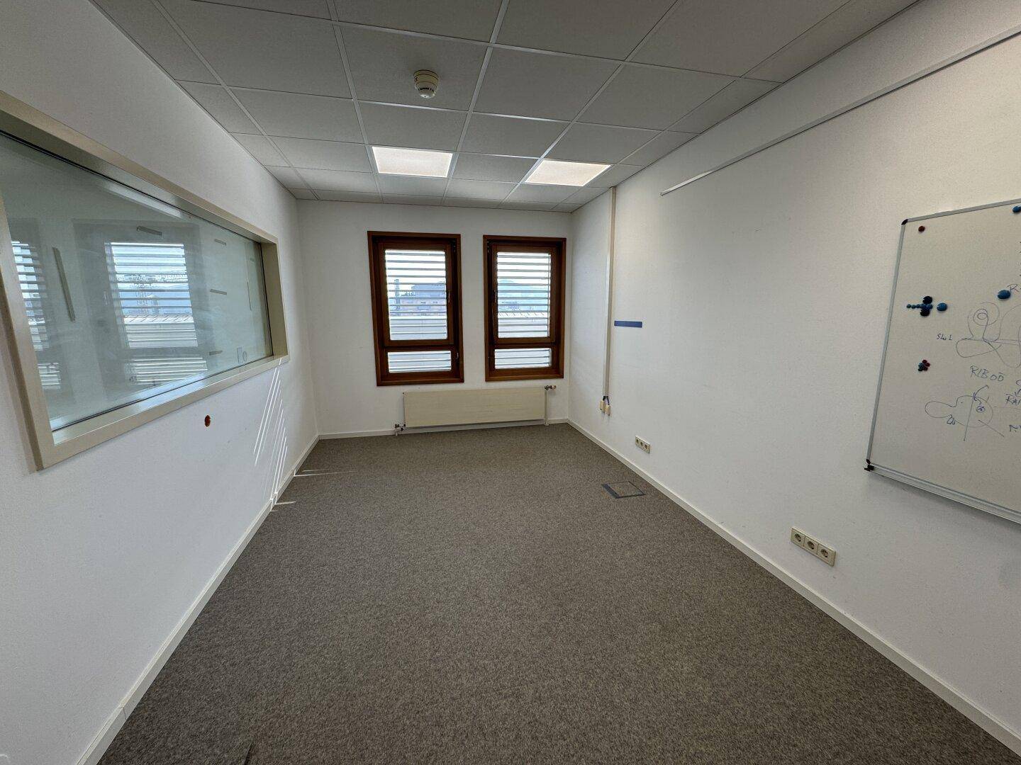 Modernes Büro mit Teppichboden, zwei Fenstern und einer großen Glaswand, ideal für kollaboratives Arbeiten.