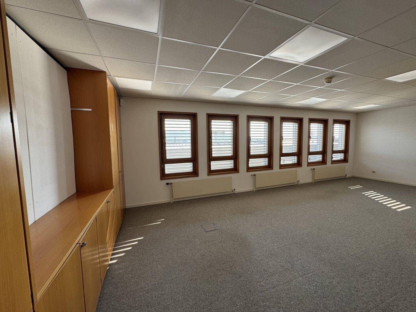 Helles Büro mit Teppichboden und einer Fensterfront, bietet viel Tageslicht und eine angenehme Arbeitsatmosphäre.