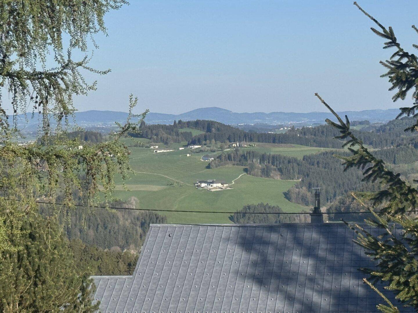 Verkauf einer schönen Bauparzelle in Eidenberg mit Fernblick - Ansicht 3