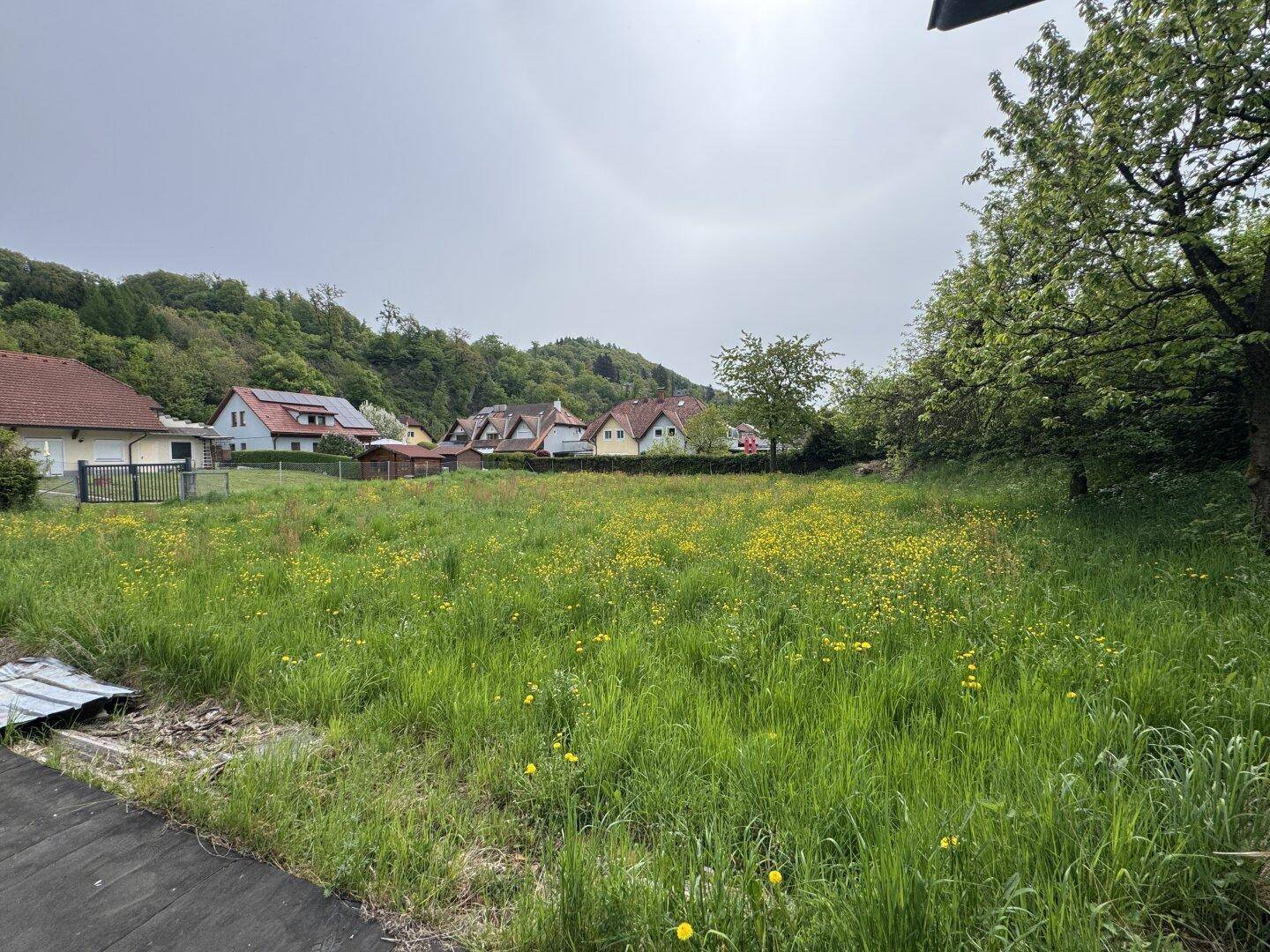 Grüne Wiese mit Blick auf Wohnhäuser und bewaldete Hügel in der Ferne.