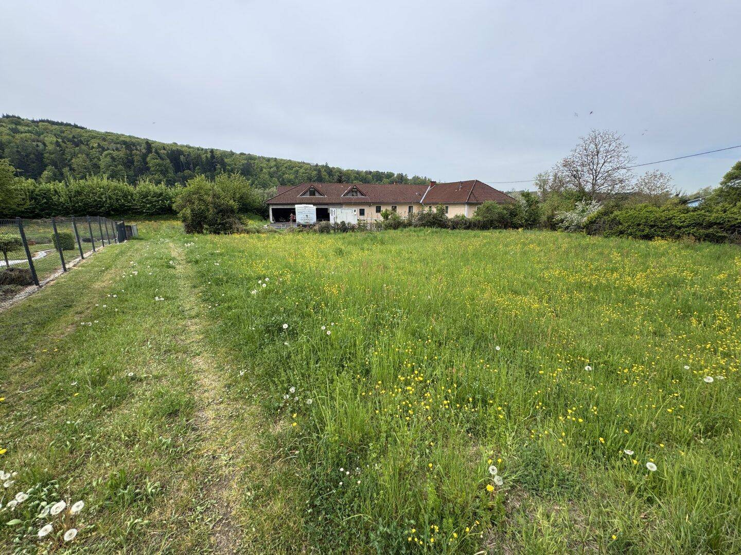 Große grüne Wiese mit einem Gebäudekomplex im Hintergrund und Waldrand.