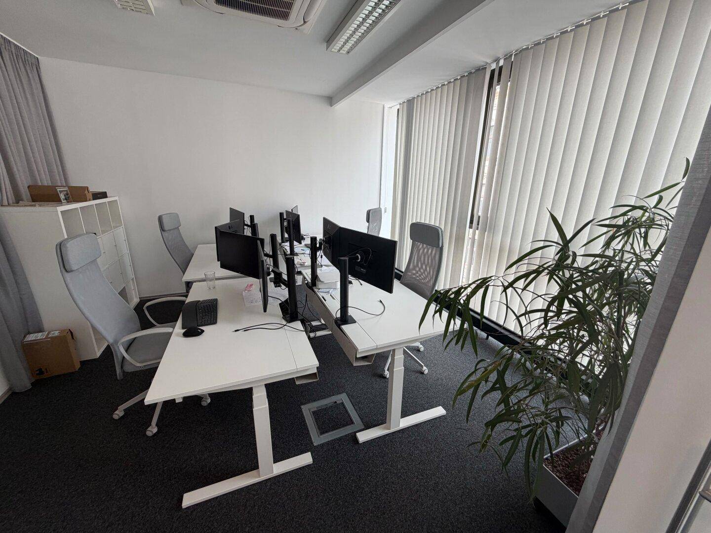 Helles Büro mit mehreren Arbeitsplätzen, großen Fenstern und einer Zimmerpflanze, die für eine angenehme Atmosphäre sorgt.