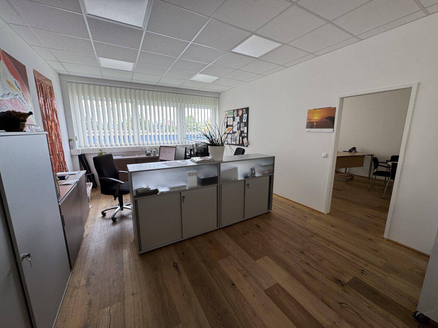 Vermietung einer modernen attraktiven Bürofläche mit kleinem Lager am Linzer Franzosenhausweg - Ansicht 4