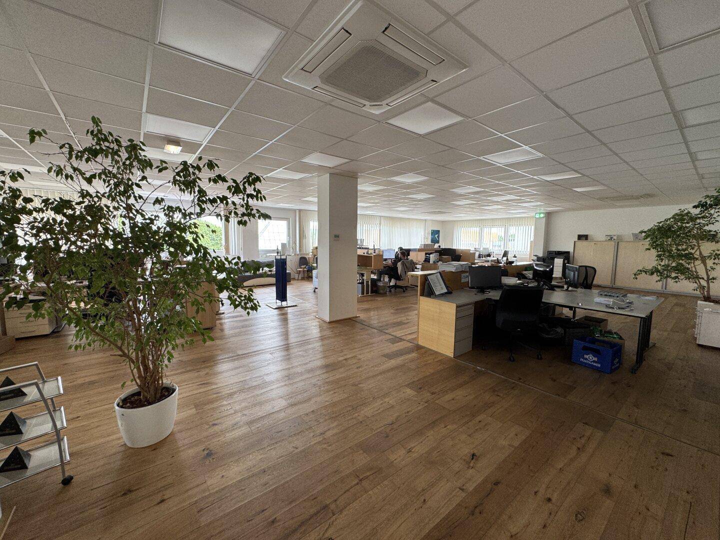 Vermietung einer modernen attraktiven Bürofläche mit kleinem Lager am Linzer Franzosenhausweg - Ansicht 6