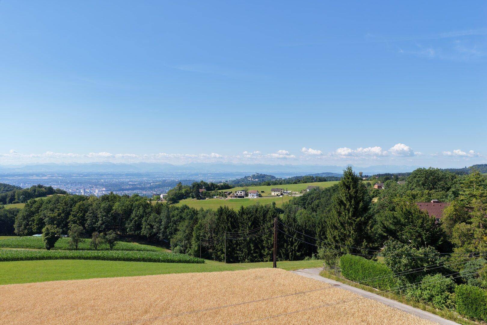 Weitläufiger Panoramablick über grüne Hügel, Felder und eine ferne Stadtlandschaft unter klarem Himmel.
