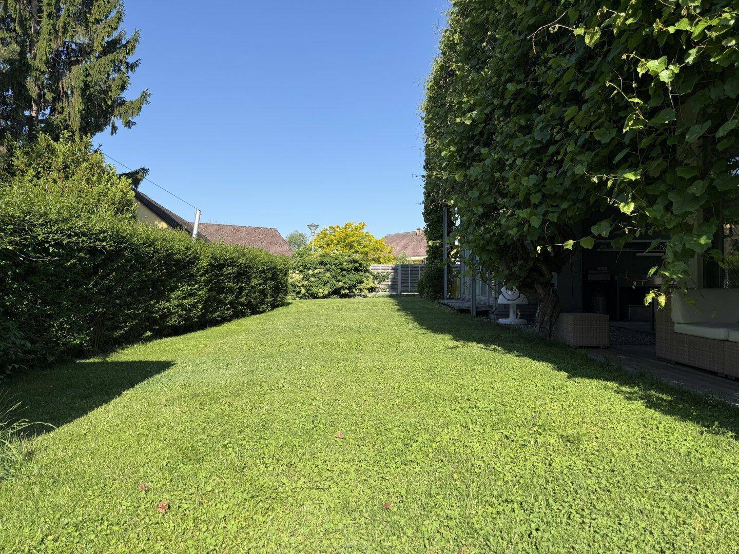 Gepflegter, weitläufiger Garten mit Rasenfläche und hohen Hecken.