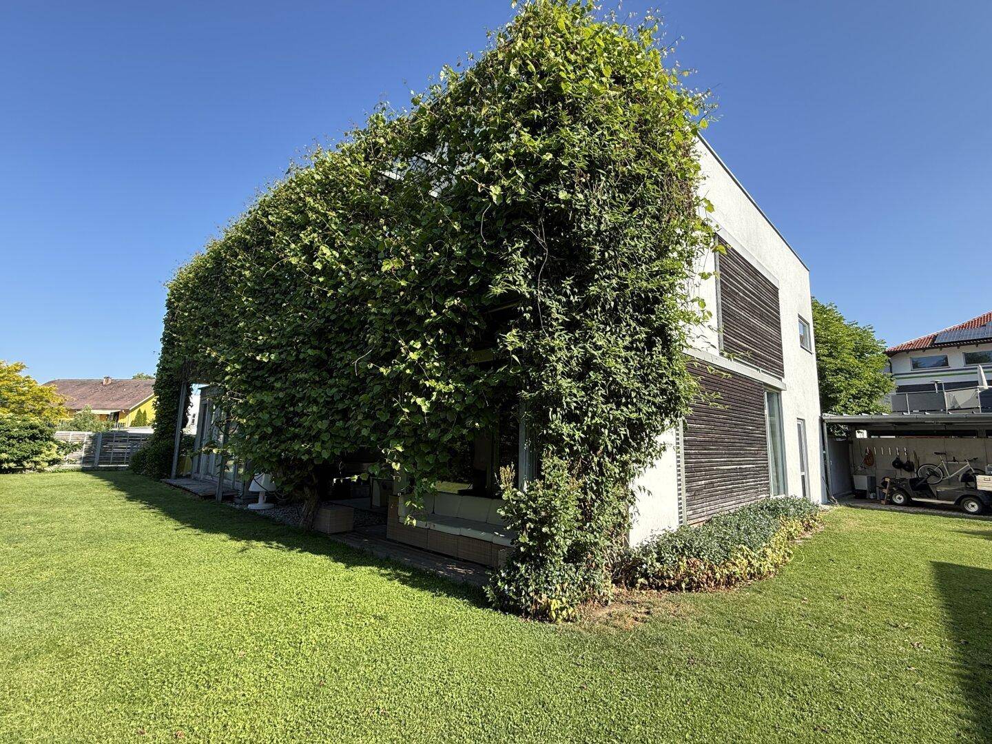 Moderne Hausfassade, teilweise von Kletterpflanzen bewachsen, mit großem Garten.