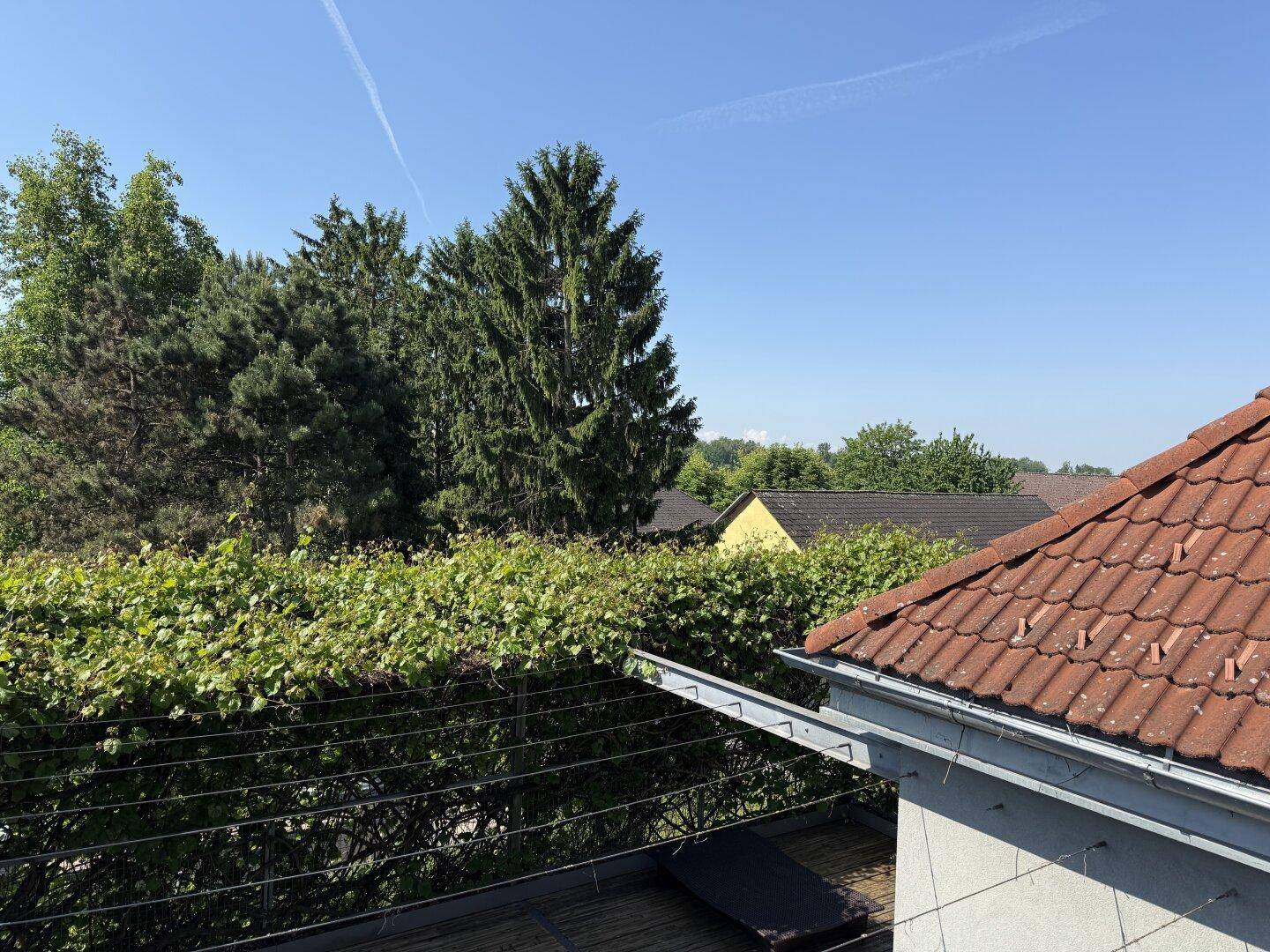 Weitblick von der Dachterrasse über die Dächer der Nachbarhäuser und grüne Bäume.
