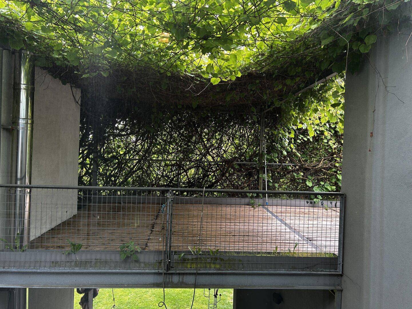 Grüne, überwachsene Loggia mit Holzboden, die einen natürlichen und schattigen Rückzugsort bietet.
