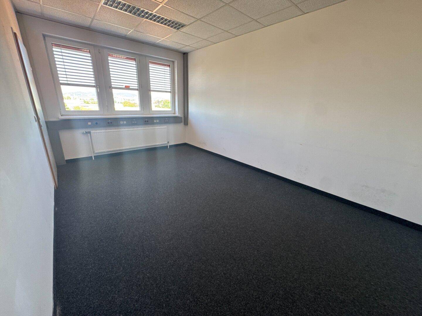 Büro mit dunklem Teppichboden und einem Fenster, das viel natürliches Licht hereinlässt.