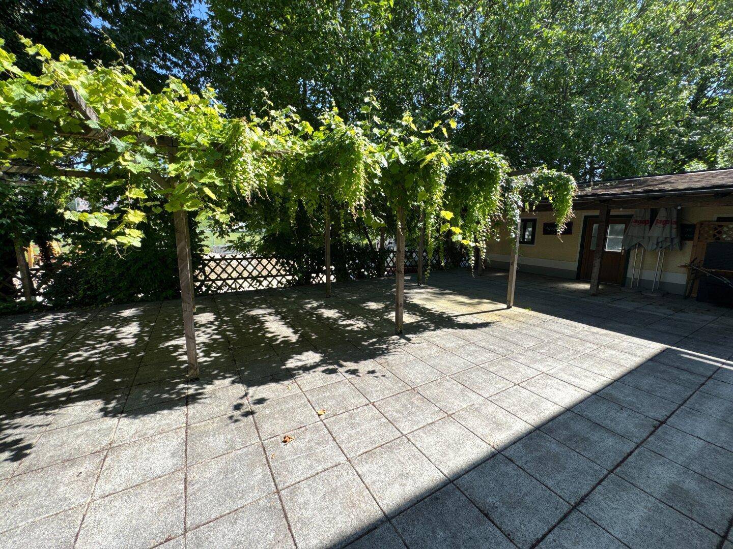 Große gepflasterte Terrasse mit Rankpflanzen und schattenspendender Pergola-Struktur.
