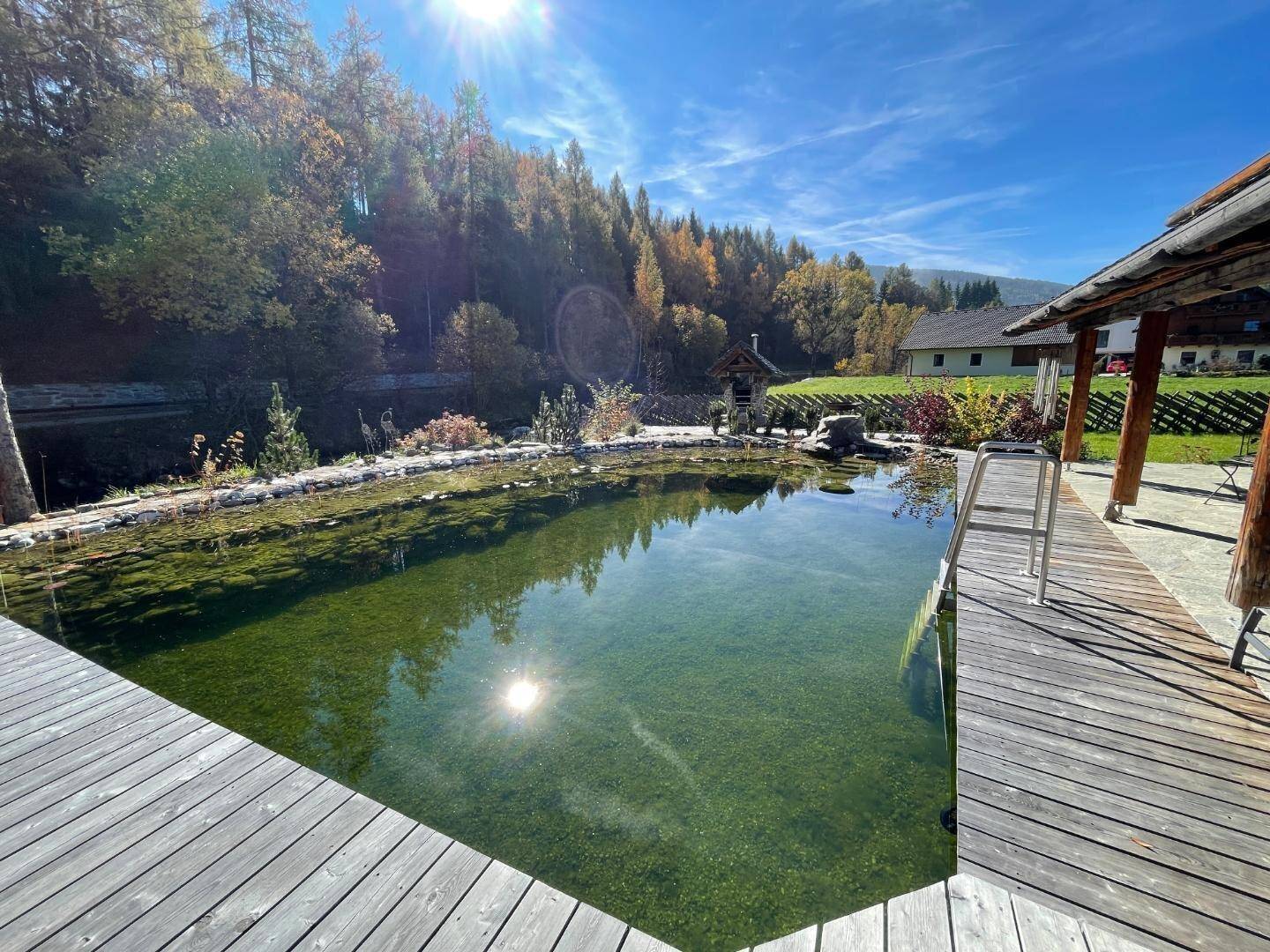 Natürlicher Schwimmteich mit Holzdeck und umgebender Waldlandschaft unter strahlendem Sonnenschein.