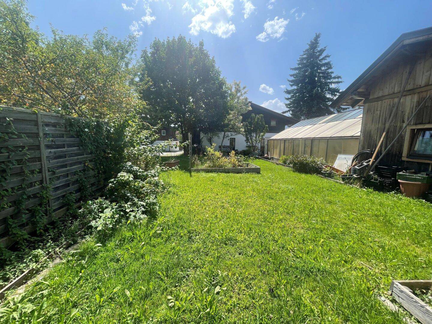 Sonniger Garten mit gepflegtem Rasen, hohen Bäumen, Holzzaun und einem Gewächshaus.