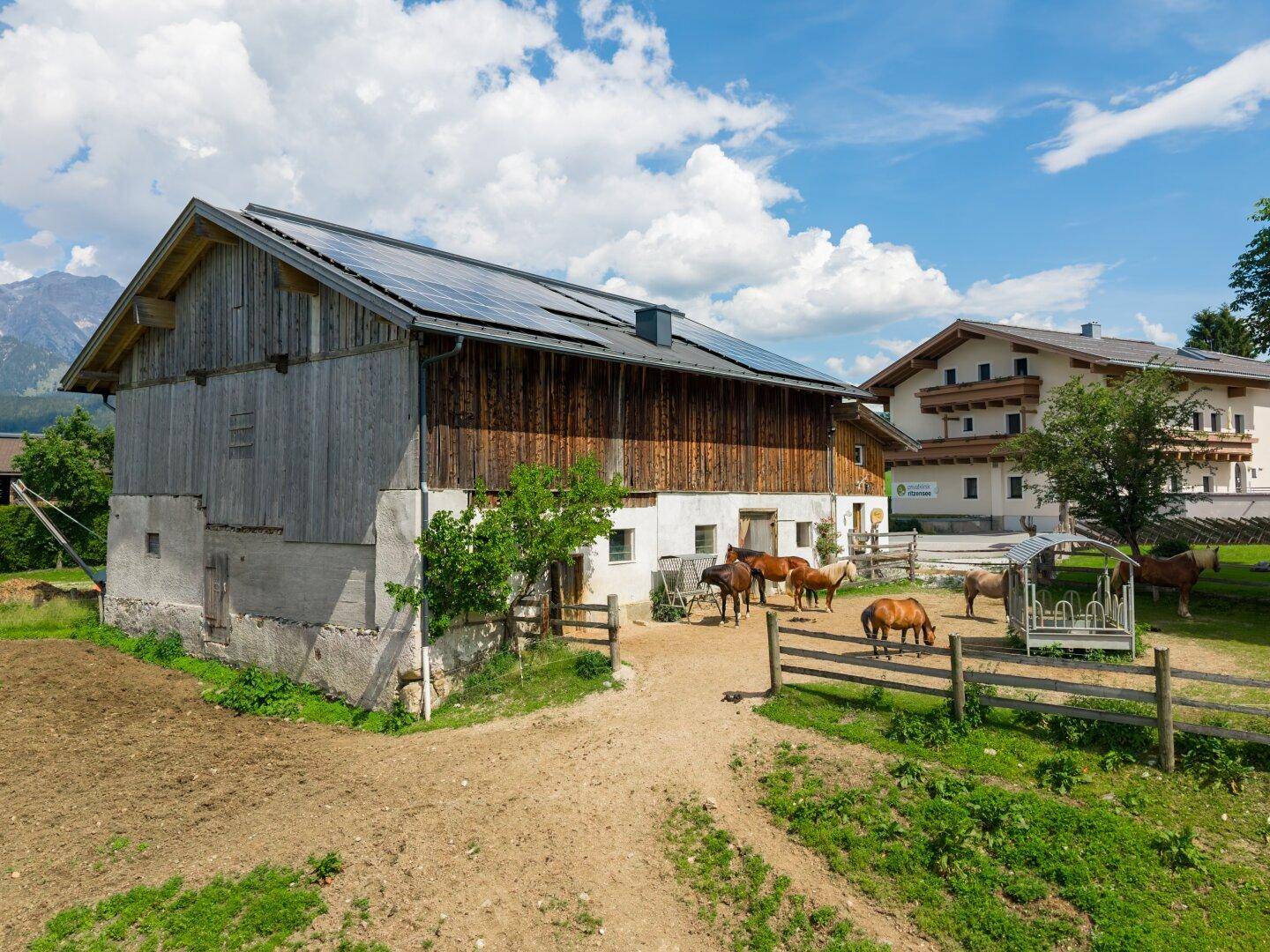 Rustikales Stallgebäude mit Pferden auf der Koppel und Solaranlage auf dem Dach.