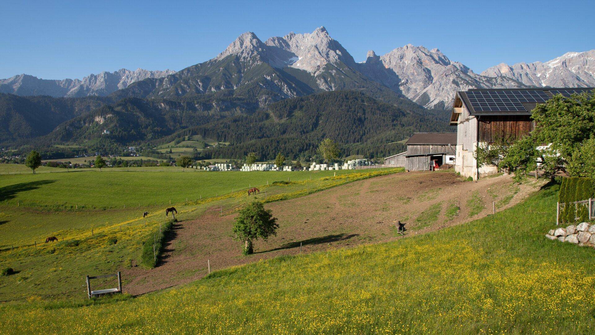 Weitläufige grüne Felder mit Pferden und einem Gebäude mit Solaranlage vor majestätischer Bergkulisse.