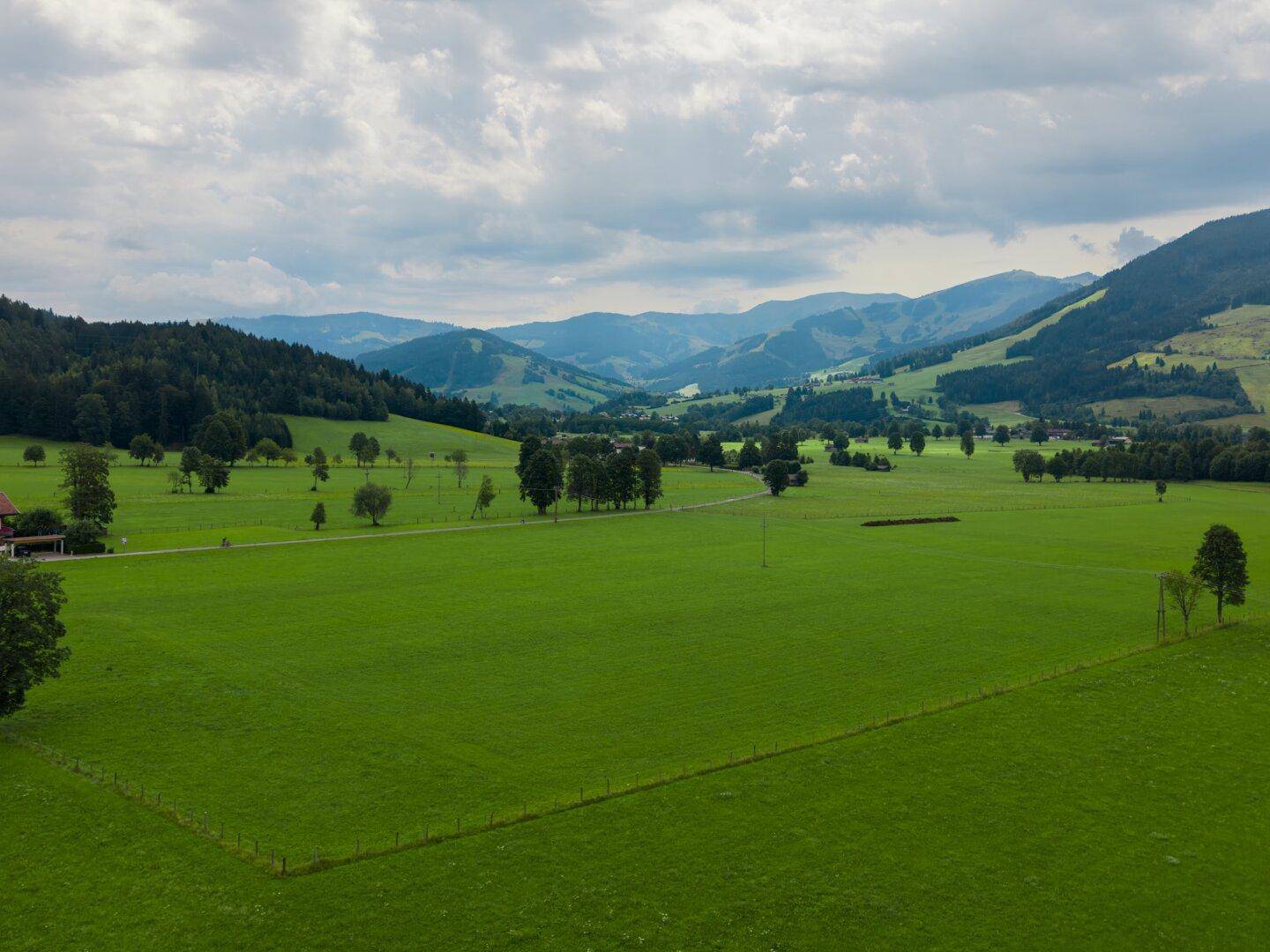 Weitläufige grüne Landschaft mit sanften Hügeln und bewaldeten Bergen im Hintergrund.